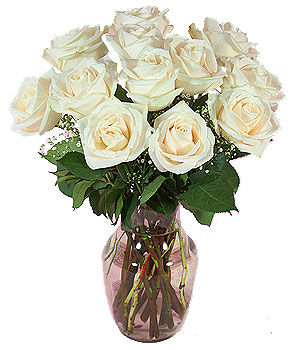 12 White Roses In a Vase 12 White Roses In a Vase